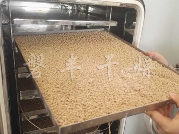 菌種凍干