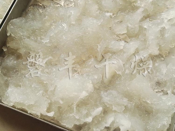 凍干燕窩