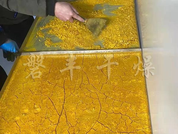 凍干熊膽粉