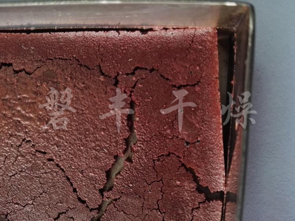 凍干水果汁