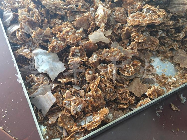 凍干蜂巢
