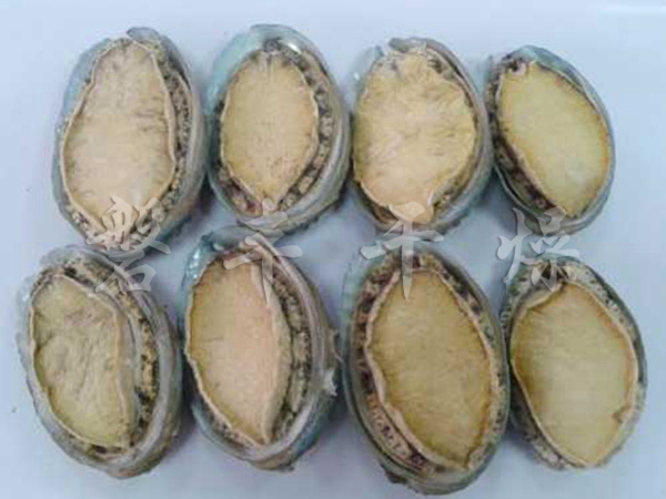 鮑魚凍干